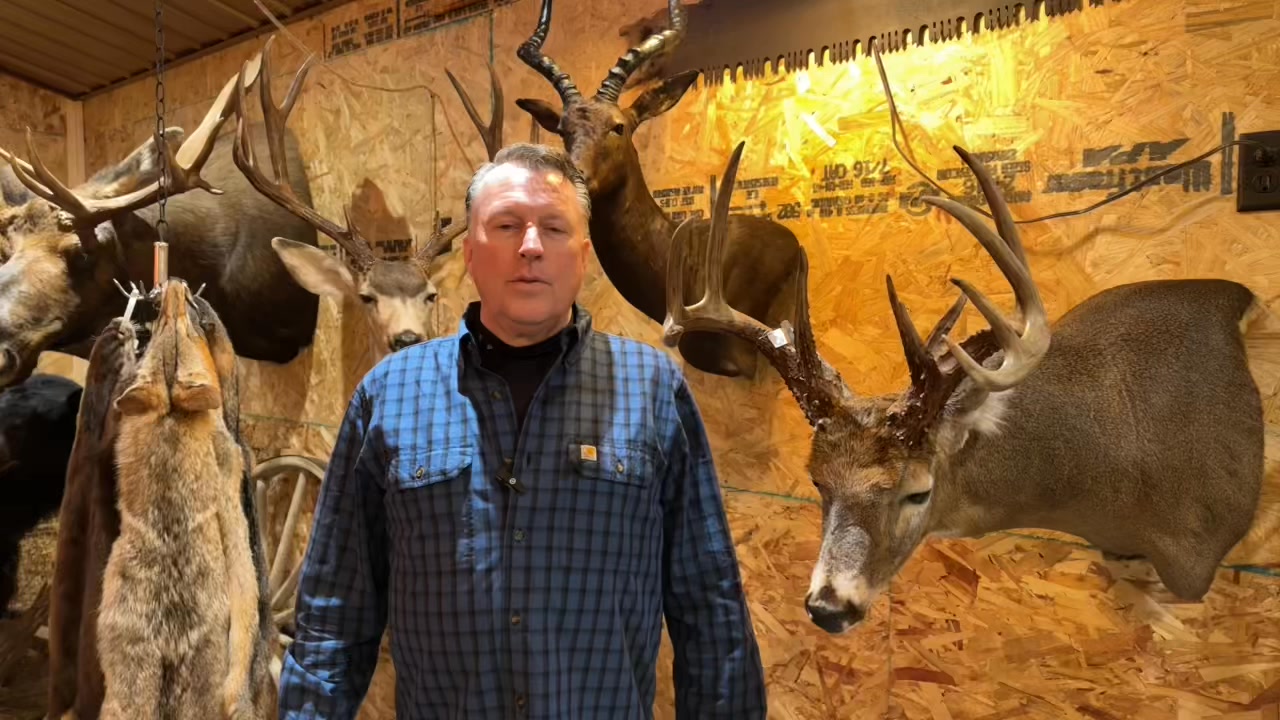 make sure to check out our YouTube channel