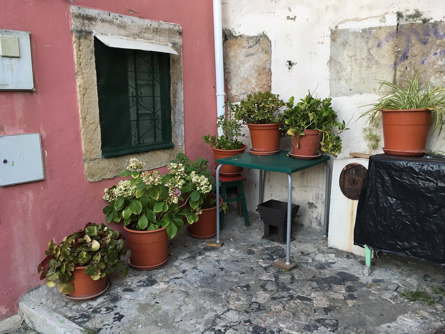 Back when Oren was just an idea 💡
Lisbon and Slow Living go hand in hand 🤎🍊🧺
#lisbon #lisboalive #livingwithantiques #lisboalovers #slowlife #slowfood #slowsimpleseasonal #slowliving #sustainableliving