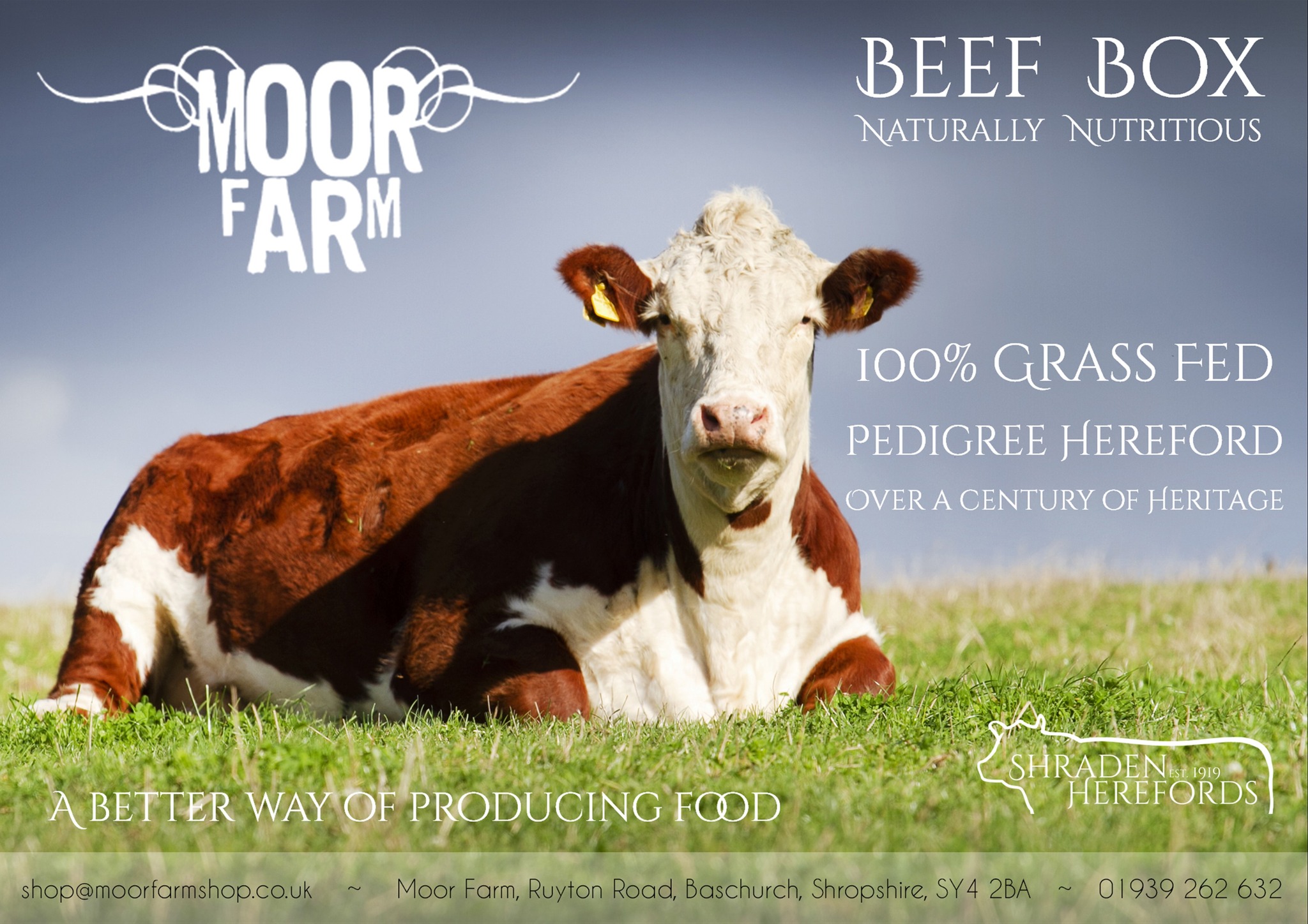 MOOR FARM BEEF BOXES
Each box contains: Steaks ~ Best & Slow Roasting Joints ~ Stew ~ Mince ~ Burgers
SMALL BEEF BOX: 62 portions* average portion cost £2.42 (freezer space requirement - 4 loaves of bread).
£125
MEDIUM BEEF BOX: 125 portions* average portion cost £2.20 (freezer space requirement- 6 loaves of bread).
£275
LARGE BEEF BOX: 250 portions* - average portion cost £2.10 (freezer space requirement- 8 loaves of bread).
£525
*A portion is 160g (the weight of a Moor Farm Burger).
#regenerativefarming #herefordbeef #grassfed #grassfedbeef #Telford #Oswestry #shrewsbury #herefordbeefuk #sustainablebeef #britishbeef