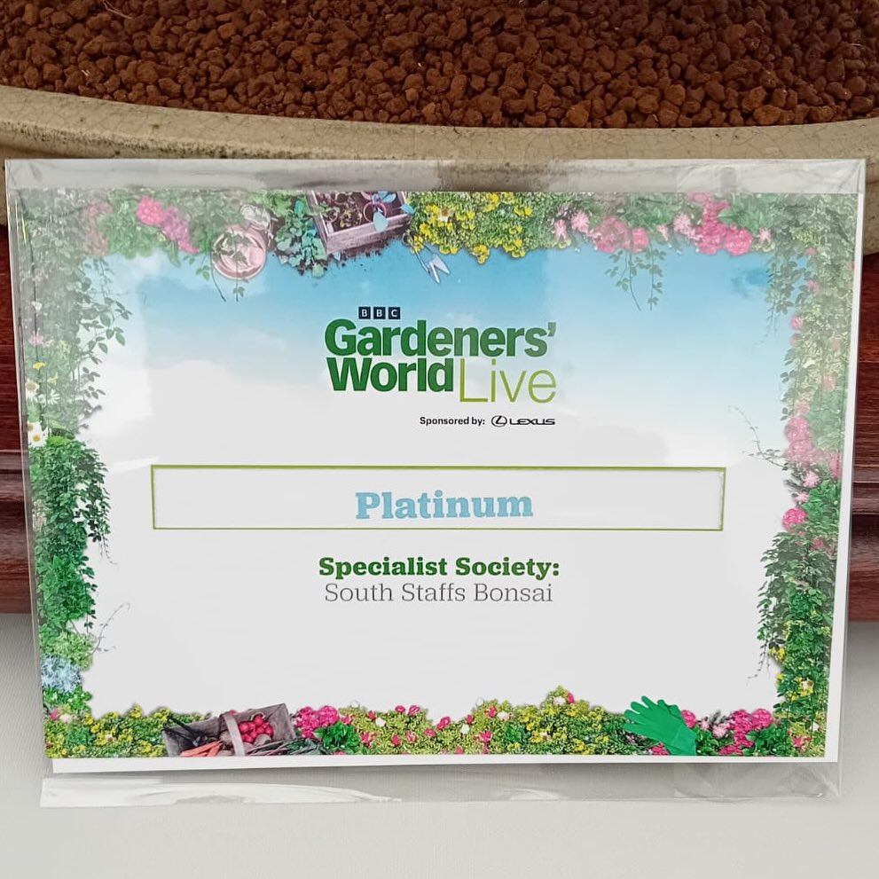 We’ve been awarded Platinum at @bbcgwlive @southstaffsbonsai