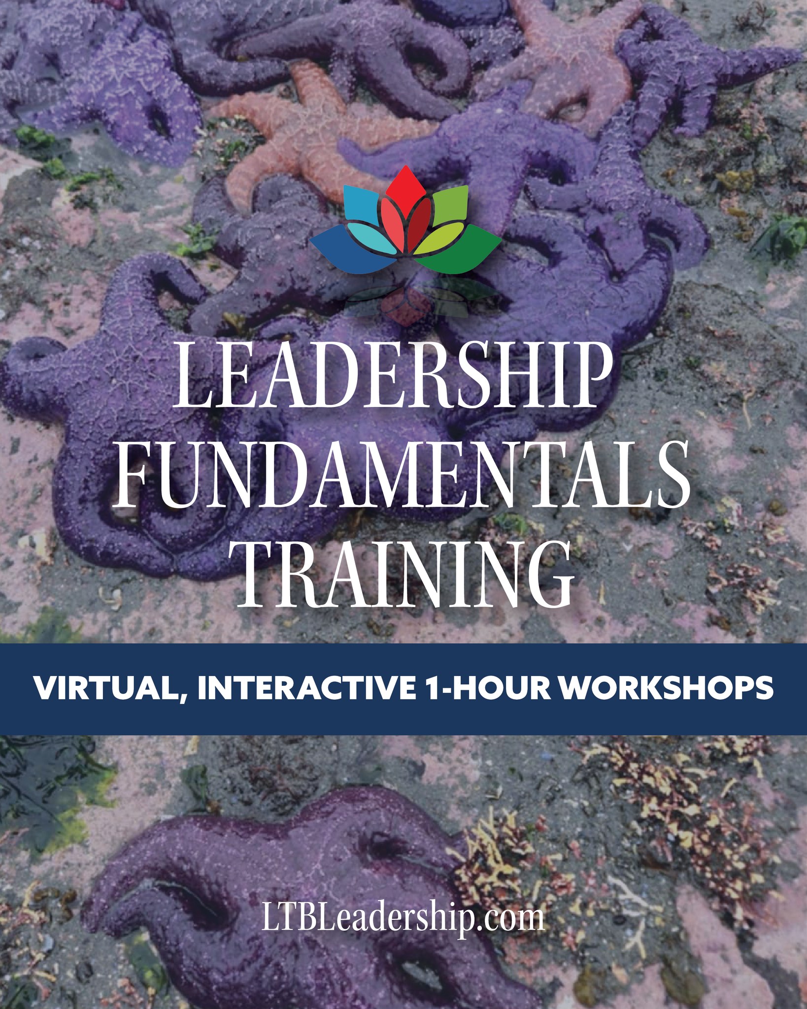 One hour is all it takes to make an impact - on yourself, your team, and your organization.
LTB Leadership’s interactive virtual workshops are designed to keep your team engaged while exploring the fundamentals of leadership and team success.
Whether it’s a Lunch & Learn, Coffee Chat, or dedicated team session, these one-hour workshops are flexible and impactful.
Explore the full menu of topics: www.ltbleadership.com/superteams
For more info, or to book your workshop: Lana@ltbleadership.com