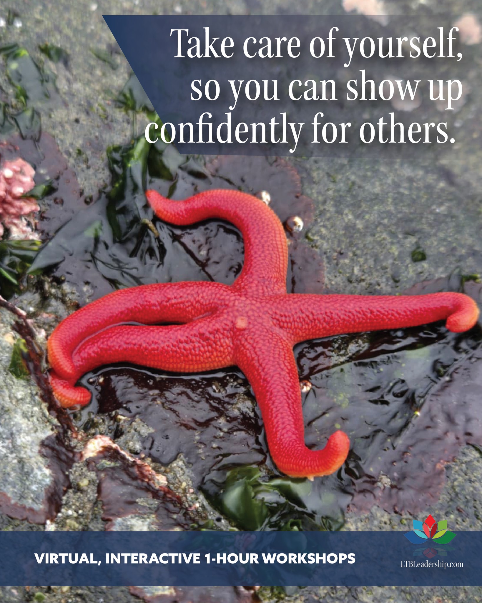 LTB Leadership offers a collection of highly engaging one-hour workshops designed to help individuals within your organization grow into stronger, more effective leaders.
Topic: Bringing Out the Best in Others
Discover how prioritizing self-care can help you thrive in both your career and personal life.
For more information, visit: ltbleadership.com
Book now: Lana@ltbleadership.com