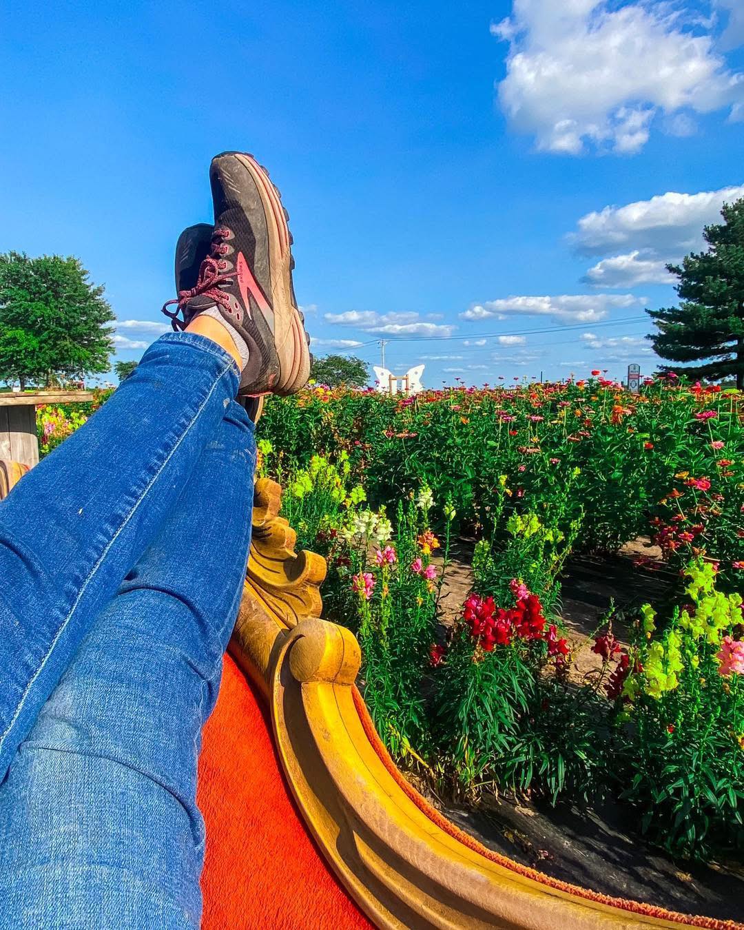 โ๏ธ On this cold, snowy day, weโre cozied up and daydreaming about all the exciting things coming in 2026โฆ including the construction of something ๐จ BIGโฆ..
Weโre talking real big โ the kind of big that will bring even more fun & magic to the farm all four seasons of the year!
๐ฑ๐ธโ๏ธ๐๐ต๏ธ๐โ๏ธ
Any guesses what it might be? Drop them below ๐
#BigThingsComing #2026Plans #MariahsMumsAndMore #MoreThanMums #SmallFarmBigFun #MomentsWeLiveFor #SnowyDayThoughts #FourSeasonsOfFun #StayTuned