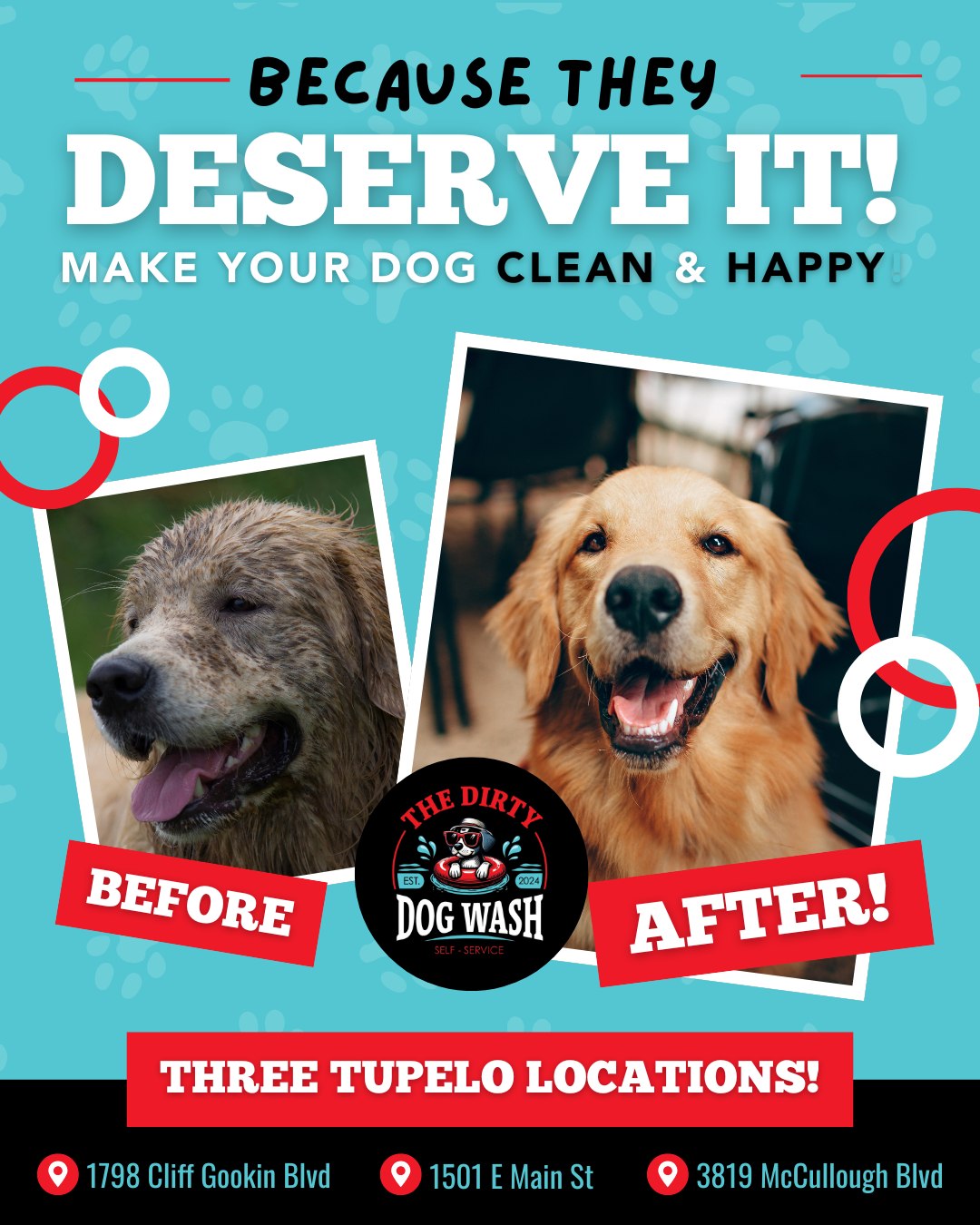 Your dogs deserve the best, which is a climate controlled, safe, and easy to use self-service dog washing center! ✨❤️
Visit us today and send this to someone who needs an easy way to clean their dogs! 🐶
-
📍 1798 Cliff Gookin Blvd
📍 1501 E Main St
📍 3819 McCullough Blvd
-
#TheDirtyDogWash #TupeloDogWash #TupeloMS #TupeloDogs #DogWash #SelfServeDogWash #IndoorDogWash #DogsOfInstagram #DirtyDog