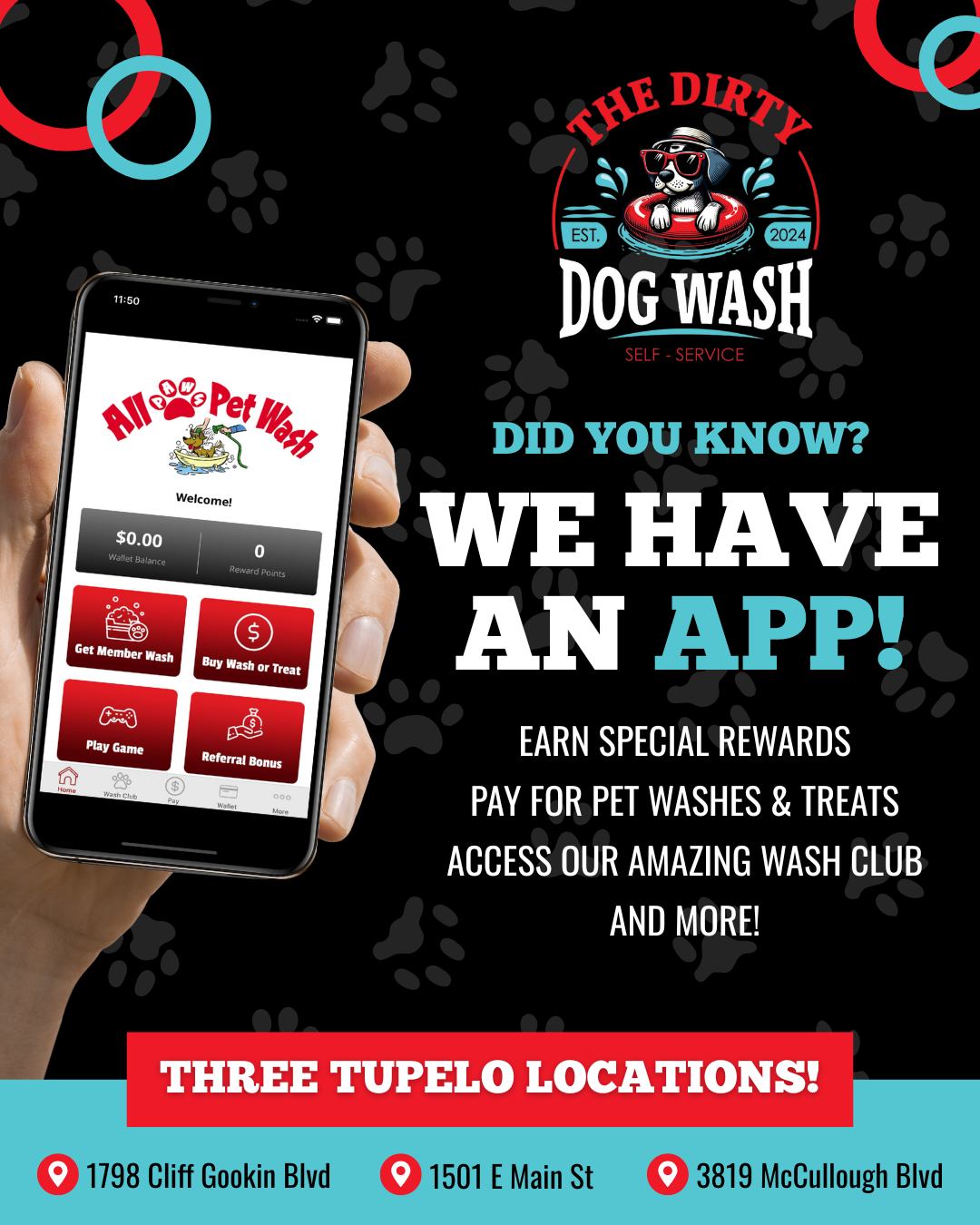 Download our app and enjoy the MANY PERKS that come with it! 👀🐶
🐾 https://allpawspetwash.com/mobile-app.html
-
📍 1798 Cliff Gookin Blvd
📍 1501 E Main St
📍 3819 McCullough Blvd
-
#TheDirtyDogWash #TupeloDogWash #TupeloMS #TupeloDogs #DogWash #SelfServeDogWash #IndoorDogWash #DogsOfInstagram #DirtyDog #DownloadOurApp
