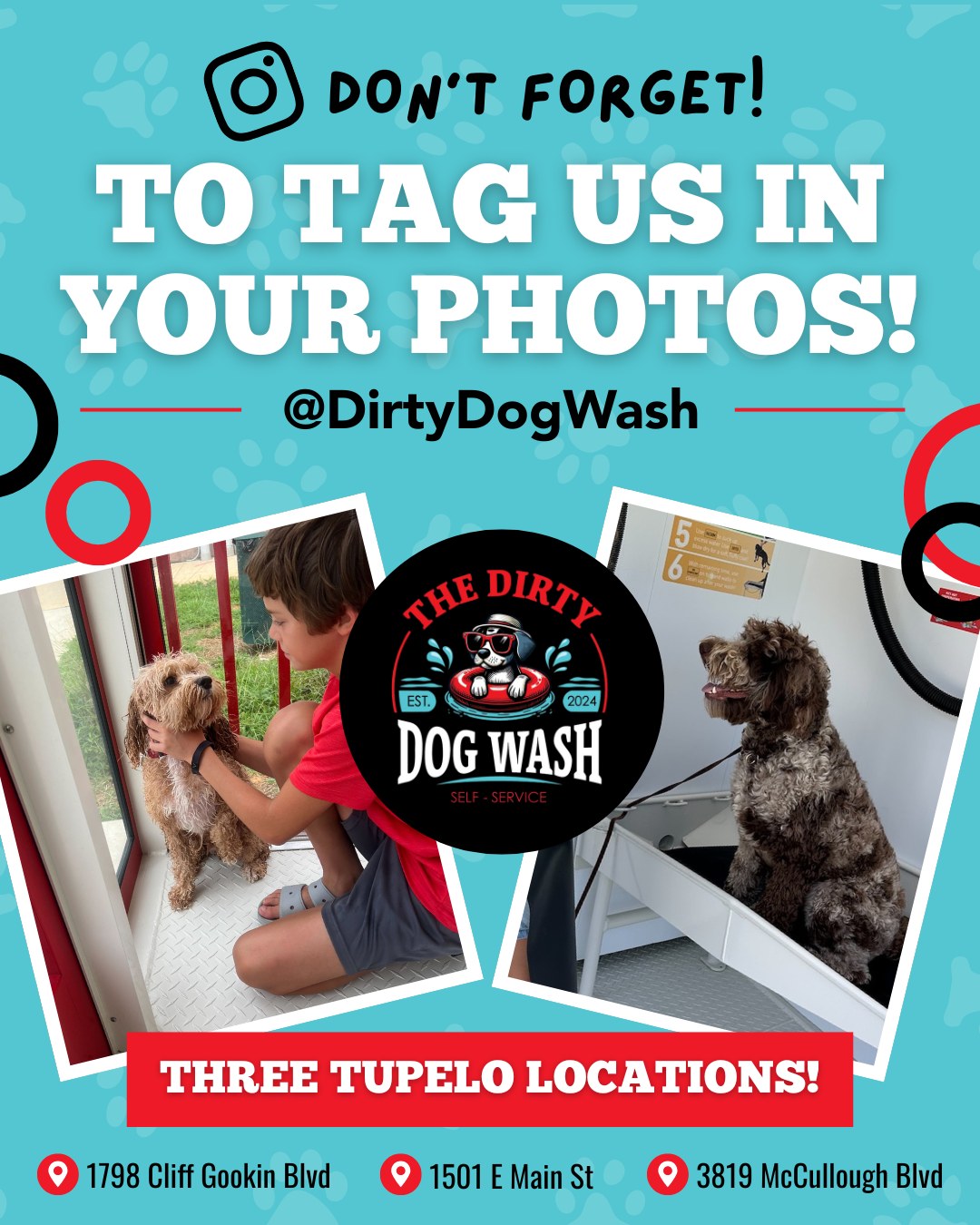 Tag us in your photos from The Dirty Dog Washes to be featured in our posts! ❤️🐶
-
📍 1798 Cliff Gookin Blvd
📍 1501 E Main St
📍 3819 McCullough Blvd
-
#TheDirtyDogWash #TupeloDogWash #TupeloMS #TupeloDogs #DogWash #SelfServeDogWash #IndoorDogWash #DogsOfInstagram #DirtyDog