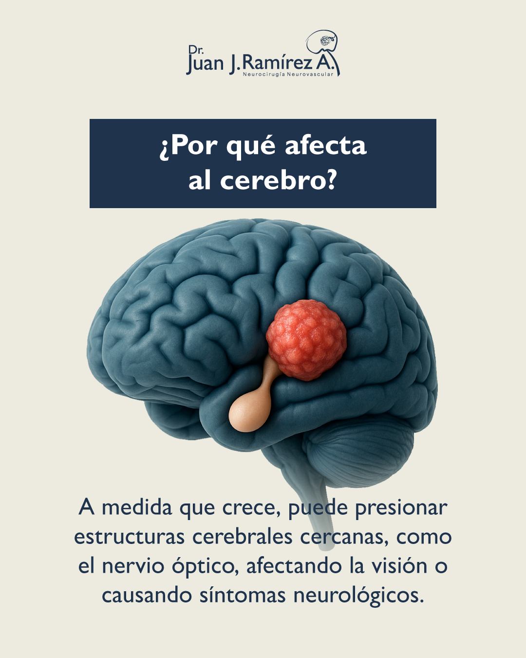 El cansancio persistente no siempre se explica por estrés o rutina.
Algunos desequilibrios en el cerebro pueden manifestarse de forma silenciosa.
Acude a consulta, detectarlos a tiempo permite un manejo adecuado.🧠📊🩺