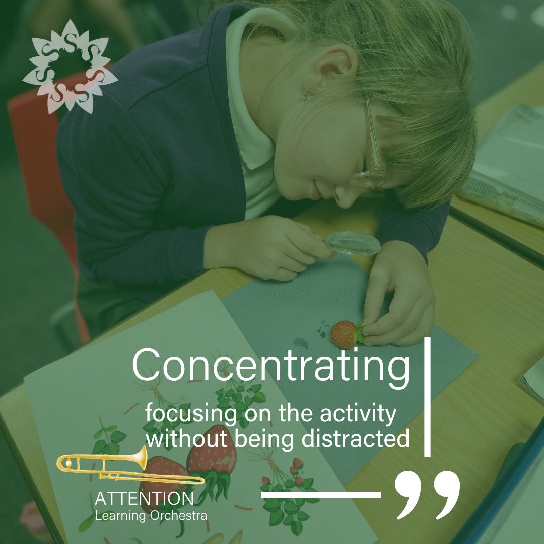 👌 We create the right conditions for learning. Helping children by developing calm, organised spaces and encouraging short, focused learning sessions.
Building the ability to concentrate step-by-step 👣
.
.
.
#learningdispositions #learningorchestra #learningpoweredapproach #concentrating #creatingconditionsforsuccess #winyates
