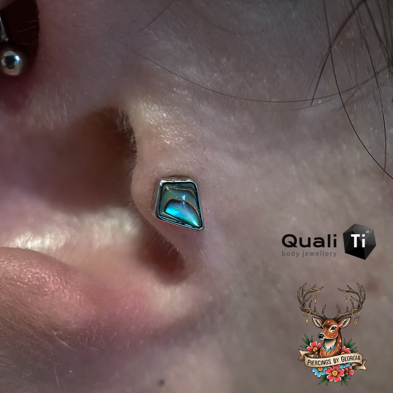 The 'ophellia' from @qualitibodyjewellery is stunning! I love the way the light reflects off it 🌿
We have availability this week for piercings and jewellery changes. You can book yourself in via the website.
🌐 the link to book is in my bio
📅 Appointment only
📍Piercings by Georgia
Birtwistle buildings,
Woodford lane,
Winsford,
CW7 2JP