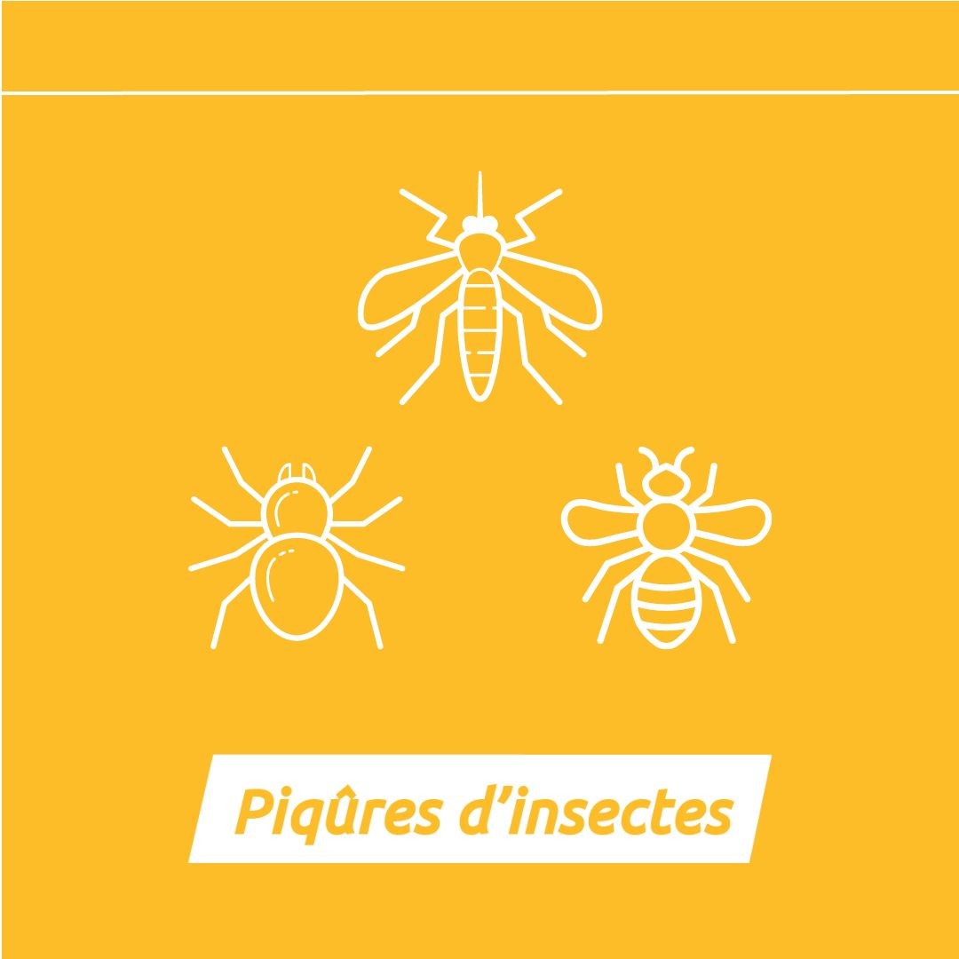 Parce que été peut aussi être synonymes de bobos pour votre peau, Cica-concentré permet d'apaiser les piqûre d'insectes que ce soit moustiques, araignées ou encore guêpes, de soulager les brûlures pour les as du BBQ et les coups de soleil, mais également les brûlures liées à la transpiration et aux frottements.
Alors cet été n'hésitez plus et glissez une flacon de Cica-concentré dans votre trousse de toilette !
Pour en savoir plus sur Cica-concentré, c'est par ici : https://www.ianthis.com
#ianthis #ianthislab #cicaconcentre #skincare #skintips #naturel #vegan #summer