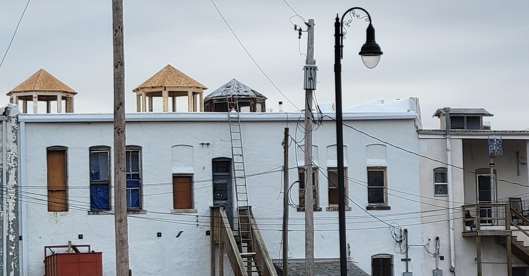 Look what's popping up!