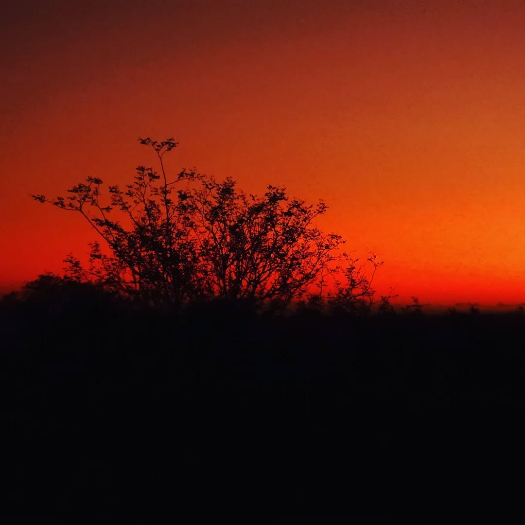 "I watch the sunrise lighting the sky, casting its shadows near. And on this morning bright though it be, I feel those shadows near me.
But you are always close to me following all my ways. May I be always close to you following all your ways, Lord."
(Words and Music ©️ 1976, Kevin Mayhew Ltd). Used by permission.
Image:own
#sunrise #sunrise_sunset_photogroup #nature #naturephotography #creation #southafrica #timbavati #hymn #christian #landscape #beauty #journeywithgod #scenery #simbavati