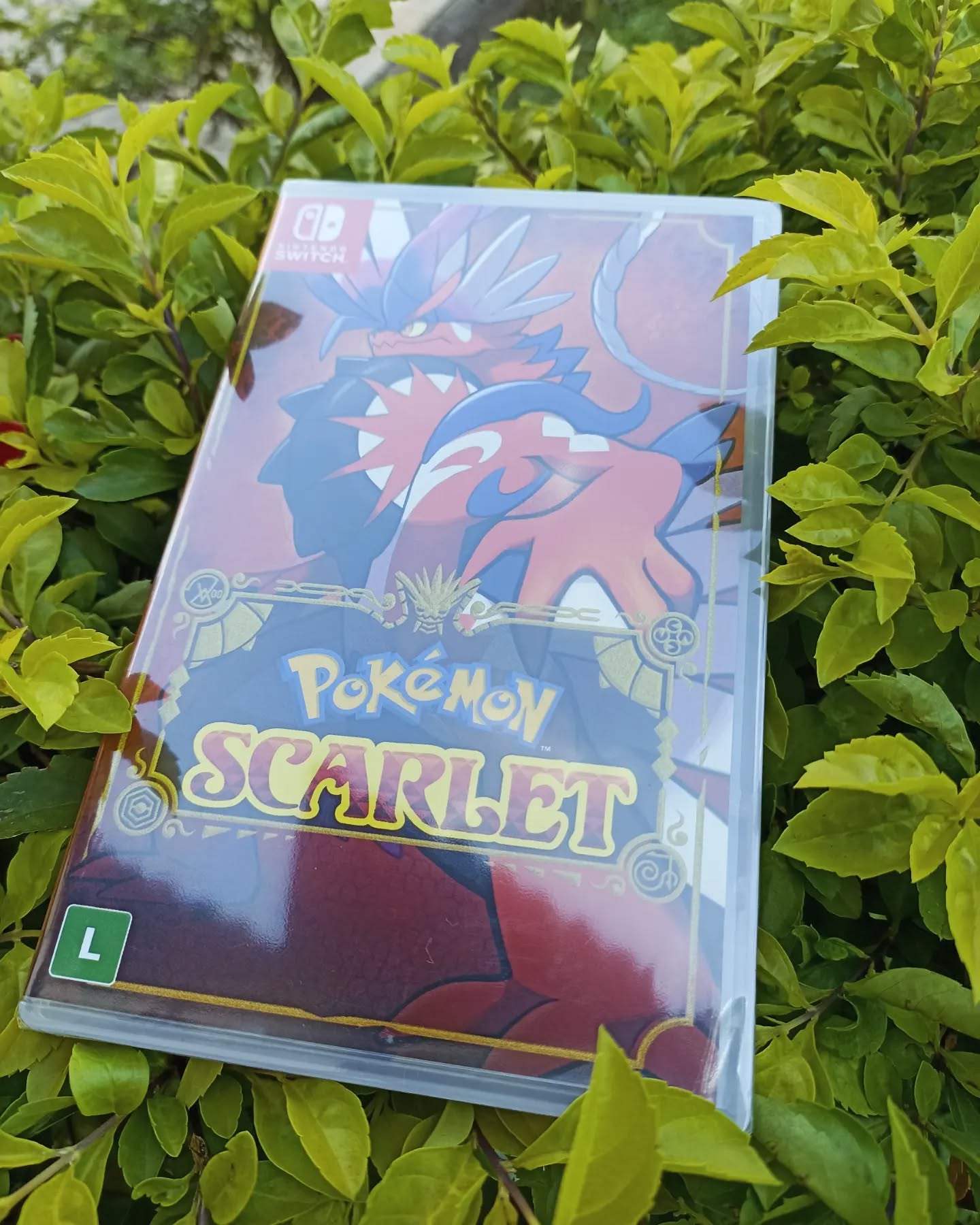 POKÉMON SCARLET - Nintendo Switch.
#pokemon #pokemonscarlet #pokemonscarletandviolet #nintendoswitch #switch #nintendo #pokemoncompany