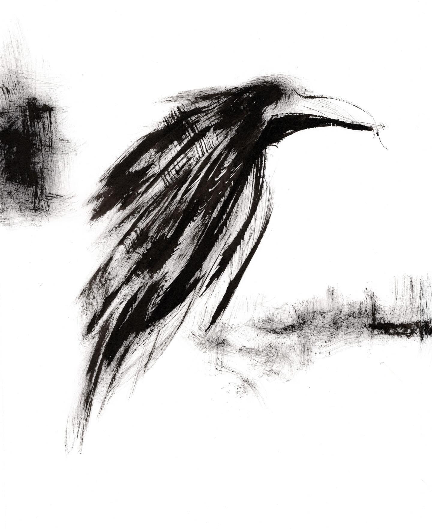 My name is Crow.
Who is this individual the world calls gallows bird, spirit messenger and thief?
#sumiink #crowportrait #crowpersonality #individualsmatter #crowdrawing