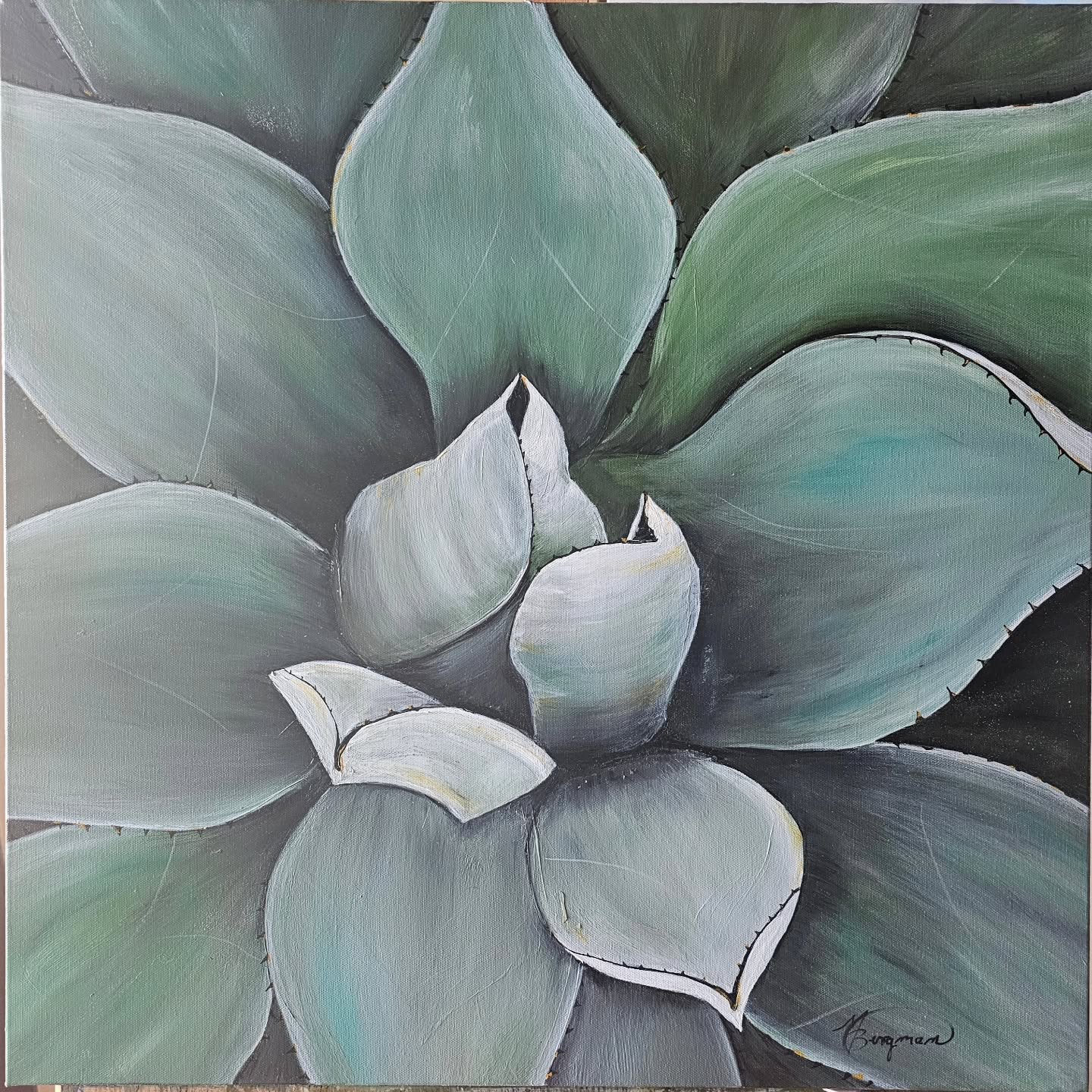 A small Agave 2'x2'