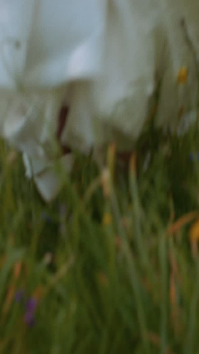 Adriana ❤️ Matt
@adrowe8
@mattrowe_rm
@rockbeare_manor_
@novaweddingphotography
#rockbearemanor #devonwedding