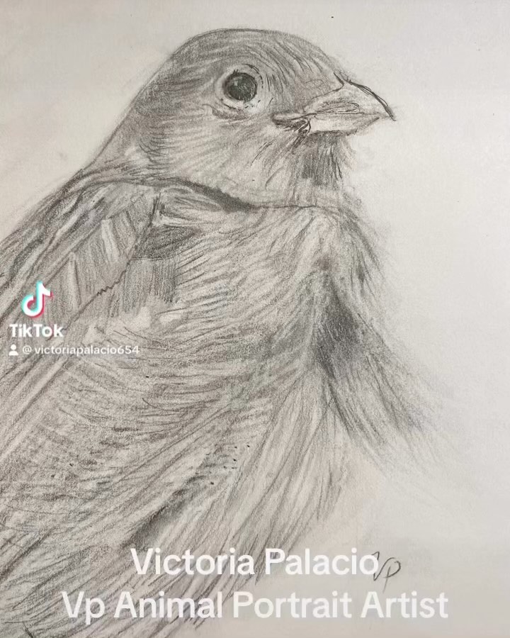 More practice sketches. Hope you like them.