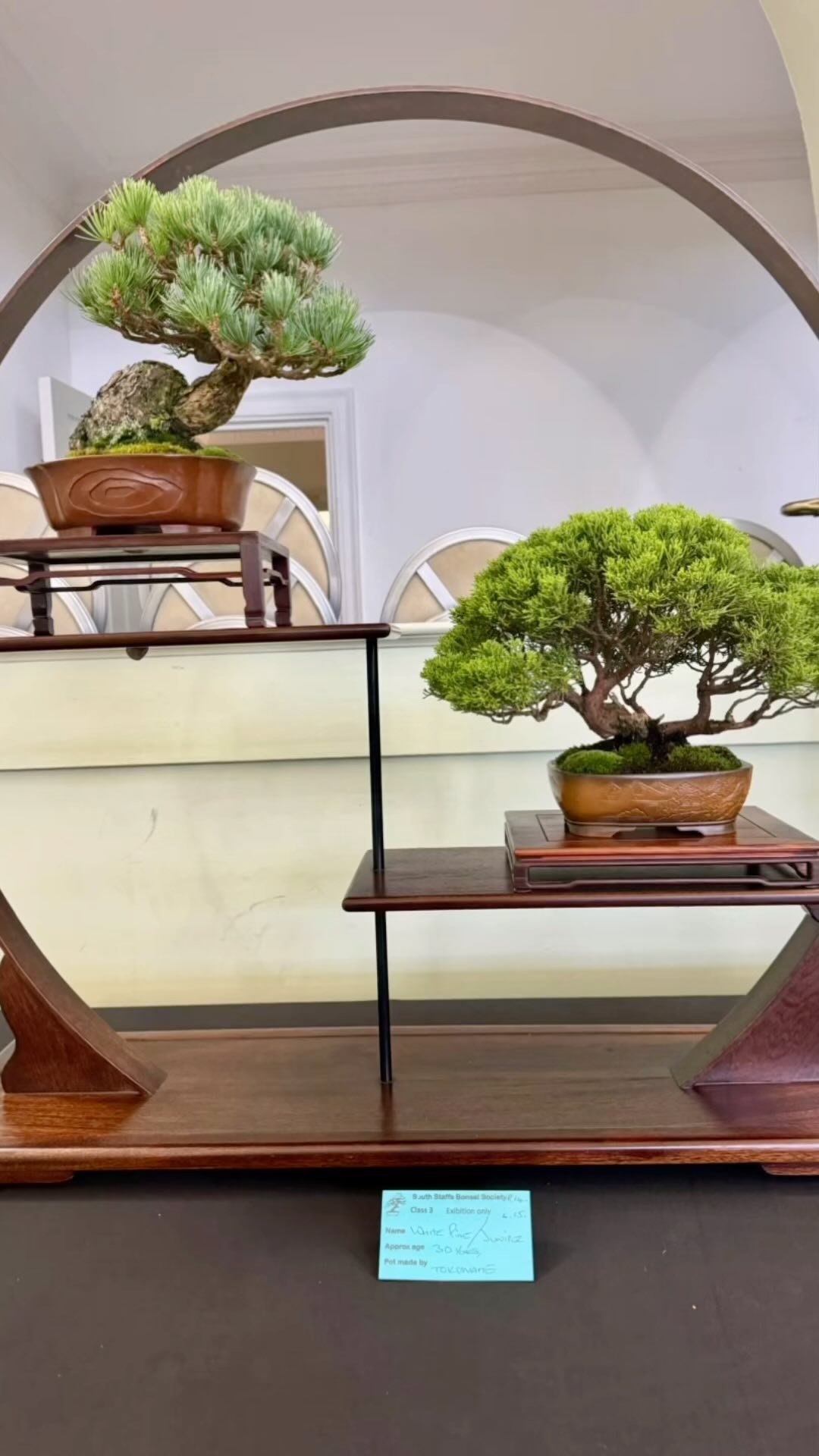 Great day at our Annual Bonsai Show. Thanks to everyone who came and supported us. @southstaffsbonsai