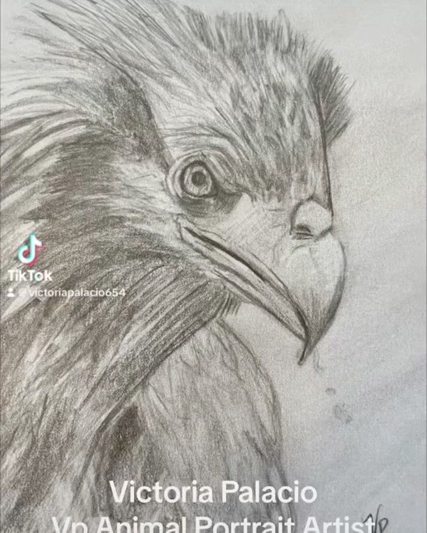 Rough sketches for the week. I hope you like them.