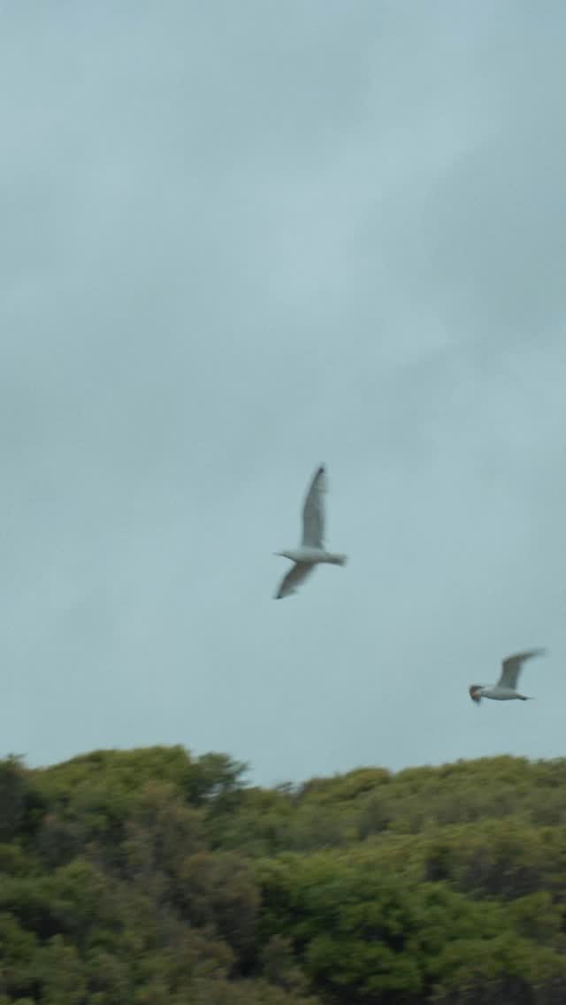 G ❤️ D
@prussiacove
@prussiacoveweddings
@hazelaparsons
@outoftheordinaryweddings
@hannahbarnesphotography
@georgemackayflowers
#prussiacove
#cornwallwedding
#weddingvideo