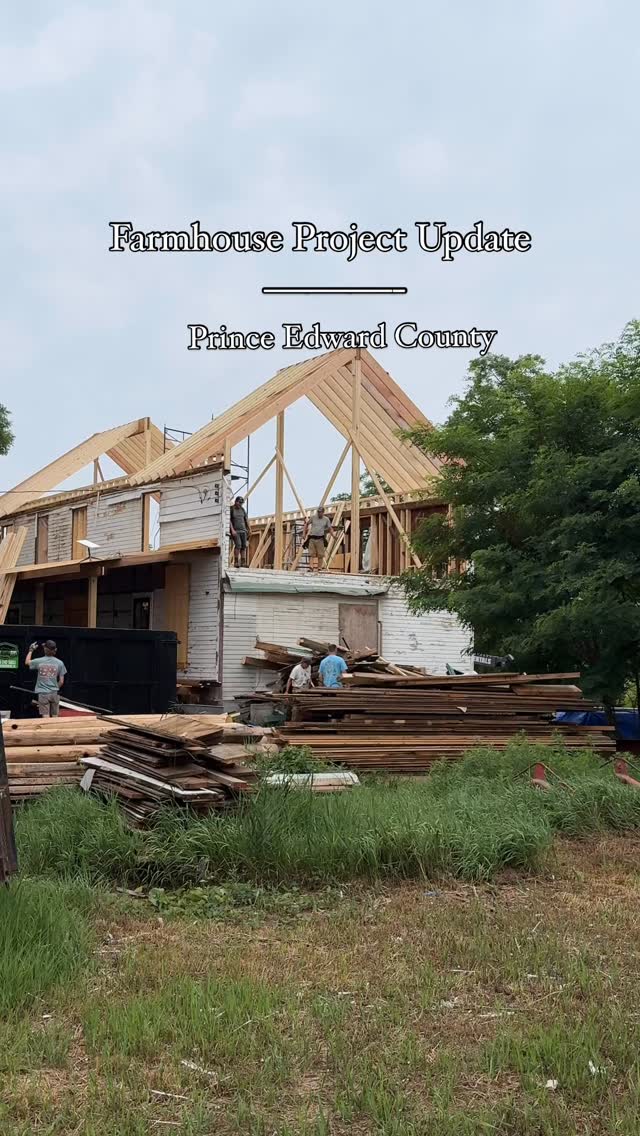 Farmhouse Project Update 🏡
After feeling a bit like we were going backwards with the roof coming off, we are so excited about all the progress this past week at the farmhouse renovation.
The roof is really taking shape and it was no small feat getting the huge ridge beam up there! Thank you @aawdesignbuildltd for all your work! Lots of other work is getting done as well from framing to windows, refinishing our vintage front door and even some rough in for electrical!
#newroof #renolife #renovationproject #houserenovation #princeedwardcounty #farmhouserenovation #farmhousereno