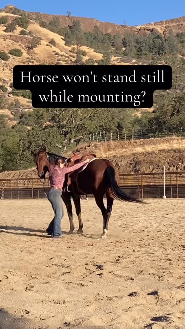More mounting tips with Whiskey!
#horsetrainingtips #equestrian #horselife #horsetrainer #horses