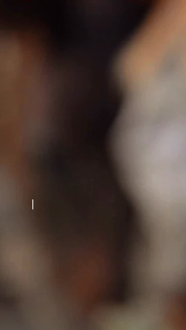 Take a breath❤️
#horses #equestrian #horselife #horse #horsetrainer