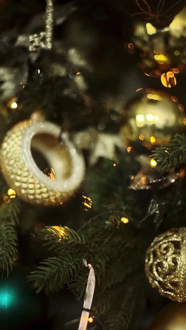 Merry Christmas! May the joy, peace, and love of Christ fill your hearts today and always. “For unto us a Child is born, unto us a Son is given; and the government shall be upon His shoulder. And His name shall be called Wonderful Counselor, Mighty God, Everlasting Father, Prince of Peace.” — Isaiah 9:6 (NKJV)