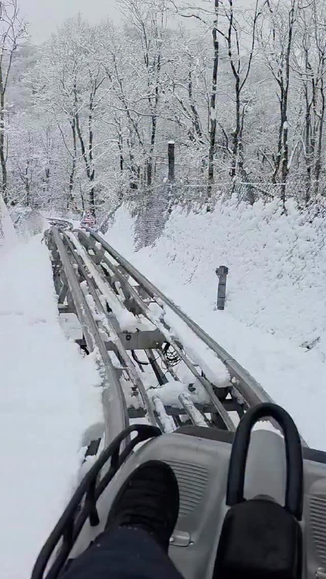 There’s something truly magical about gliding through a blanket of fresh snow. Winter days are meant for moments like this. #alpinecoaster #bannerelknc #northcarolina