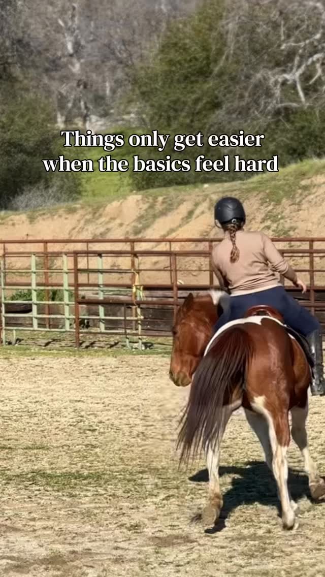 Everything big starts small
#bridleless #libertyhorse #horsetraining #horseriding #equestrian