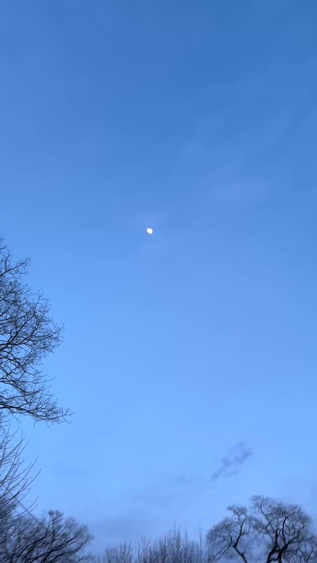 Boys hitting the #odr for some #outdoor #hockey 🏒
Nothing like a brisk #winter rip on the #ice ❄️