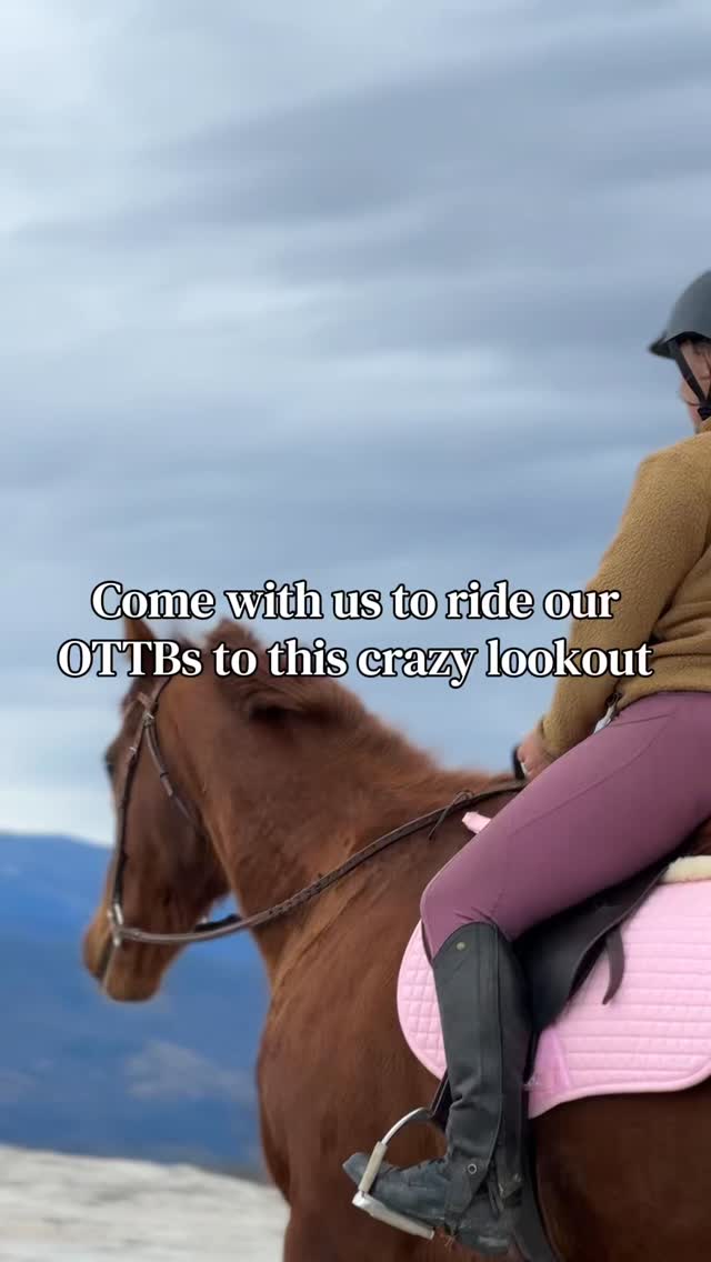 Talk about VIEWS🏔️
#ottb #mountainviews #horseriding #trailriding #horses