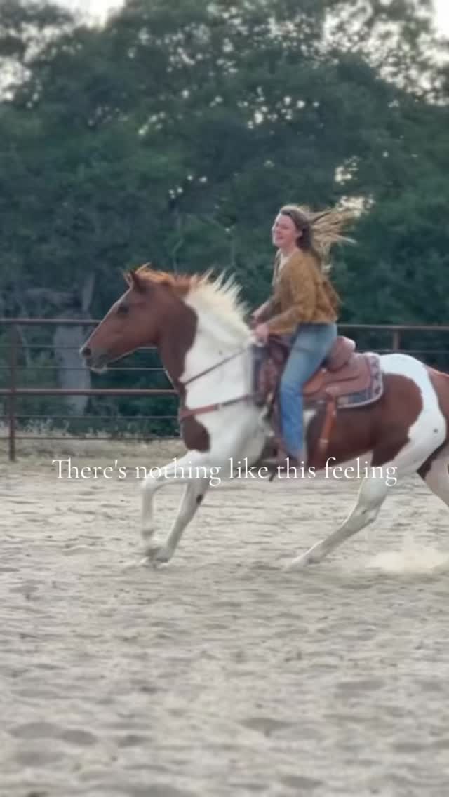 Nothing compares
#horses #galloping #horseriding #bridleless #flying