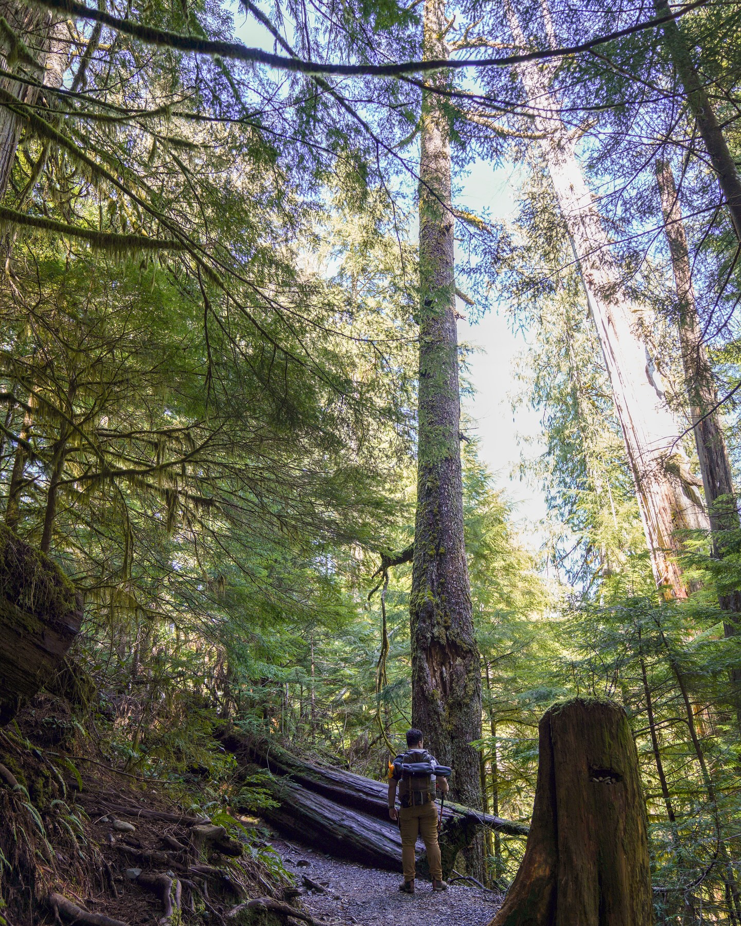 If you could ask the mountain what side it is on, it would chuckle and say, “my own.”
Remember today to remain focused on what’s real. Win or lose, right or left, the mountains remain.
When the systems and structures of mankind are another page in a history book, the mountains remain.
“My name is growing all the time, and I’ve lived a very long, long time, so my name is like a story.”
-Treebeard, ‘The Lord of the Rings Trilogy’
Today, like any other day, is just a part of the story
…and the mountains will remain.
.
.
.
.
.
.
.
.
.
.
.
.
.
.
#naturephotography #nature #outdoors #hike #pnw #wa #lordoftherings #quotes #vote