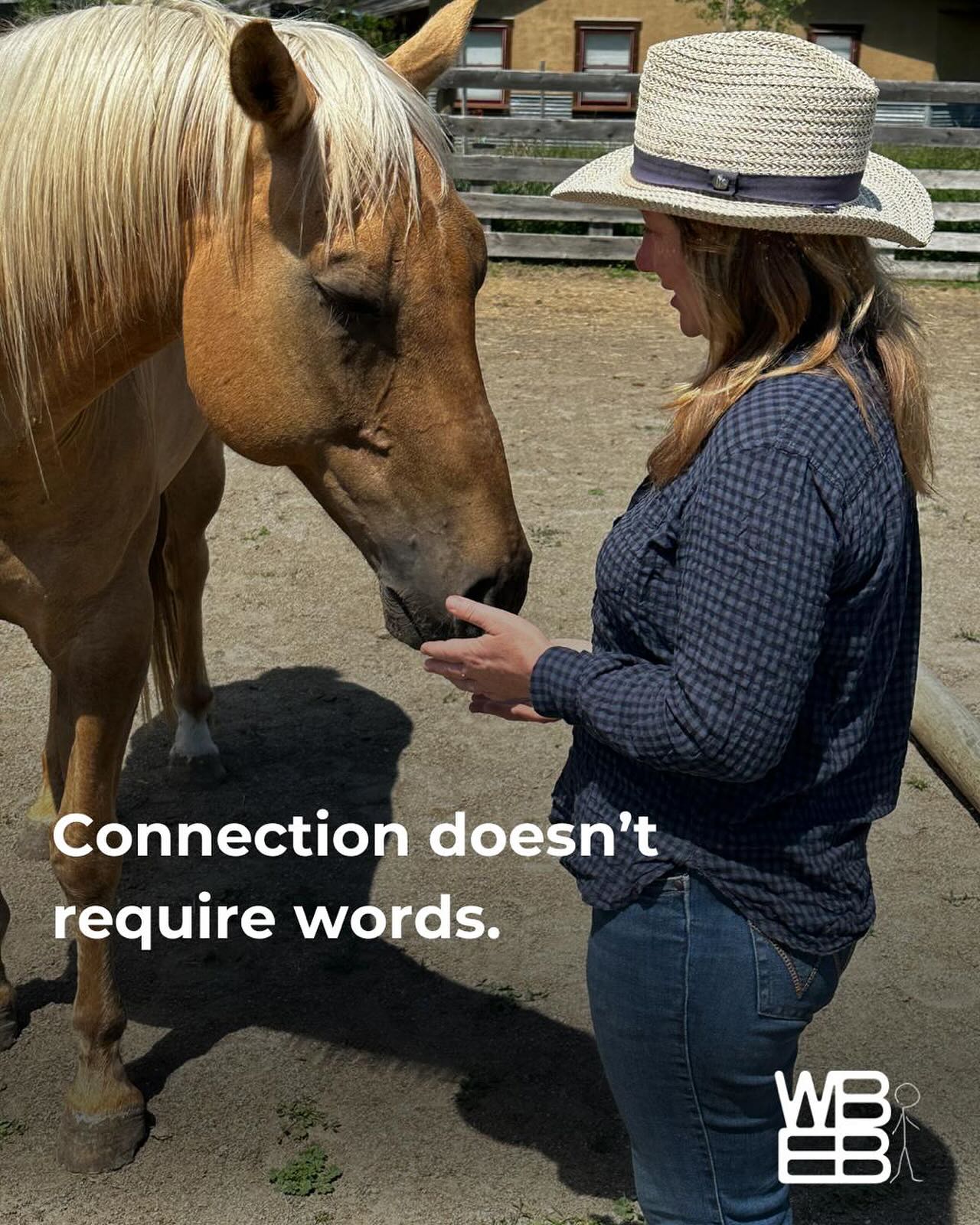 Connection doesn’t require words.
Horses remind us of this each time we saddle up or step into the round pen.
🐴 They read energy and intention - presence, not resumes or roles.
🐴 They sense what we bring and respond to who and how we are, on the inside.
🐴 They remind us to lead with presence, not pressure. calm, centered intention, to build trust that’s felt, not forced.
🐴 They are powerful partners in personal growth, inner healing, and leadership development.
#EquineWisdom #connectionthatheals #humanbeingbasics