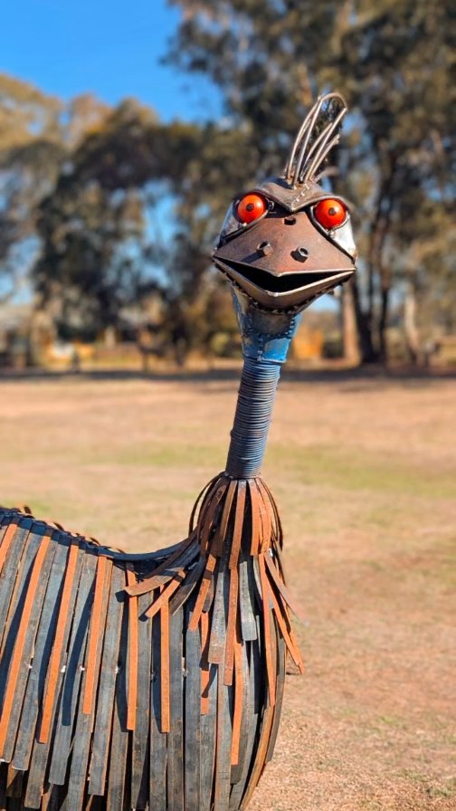 Our new emu is looking for a new home, will it be your town or private garden??? Send us a message to find out more