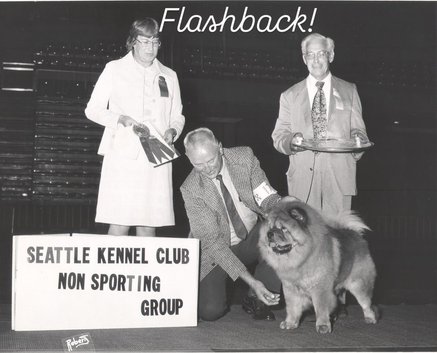 SKC Dog Shows over the years! Enjoy this flashback! Looking forward to seeing you this year at our annual summer dog show in July!!