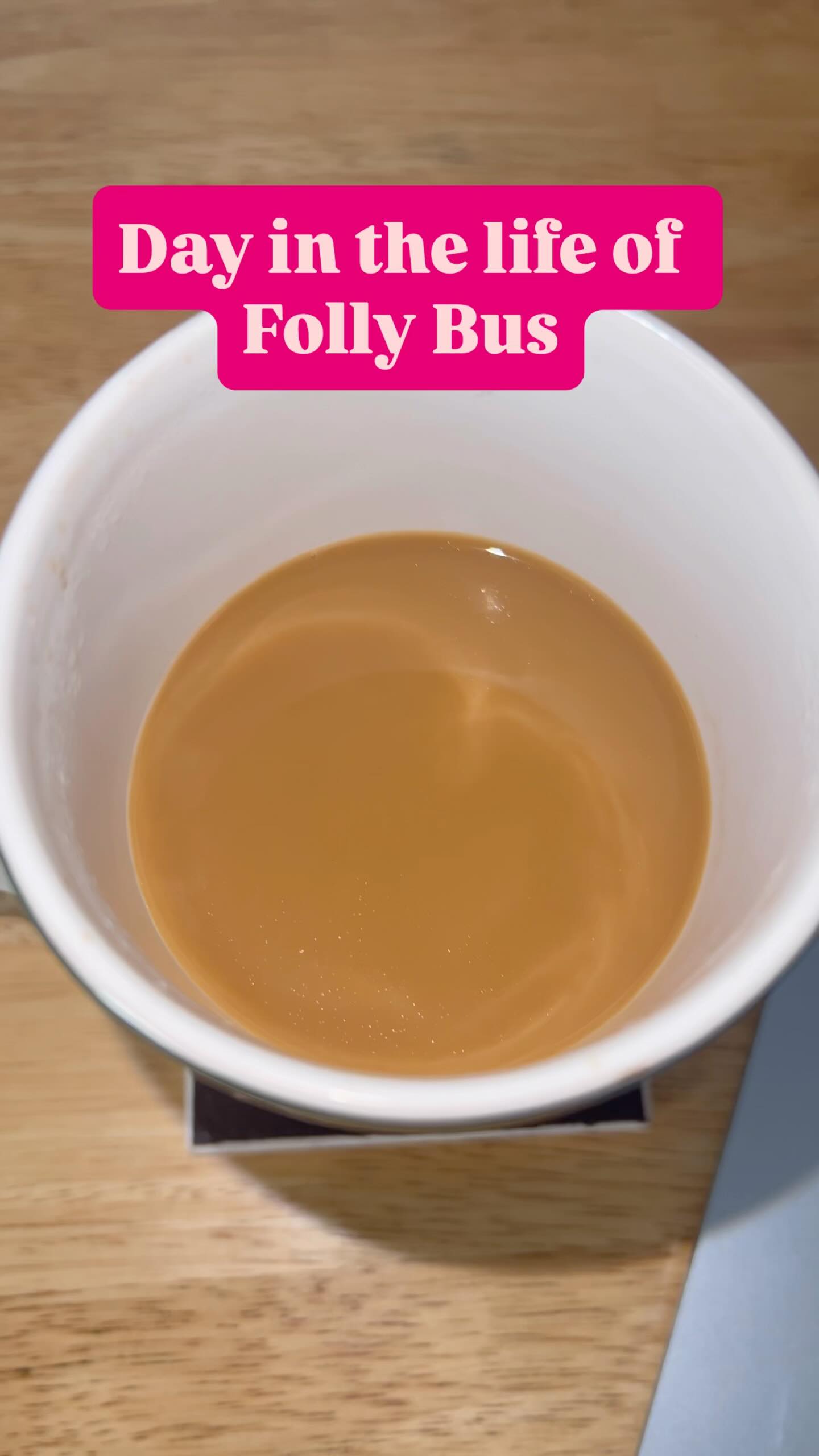 A day in the life of Folly Bus: sunrise, strangers turned friends, and whole lotta fun! Get a quote at follybus.com #follybus #dayinthesun☀️ #ridelocal