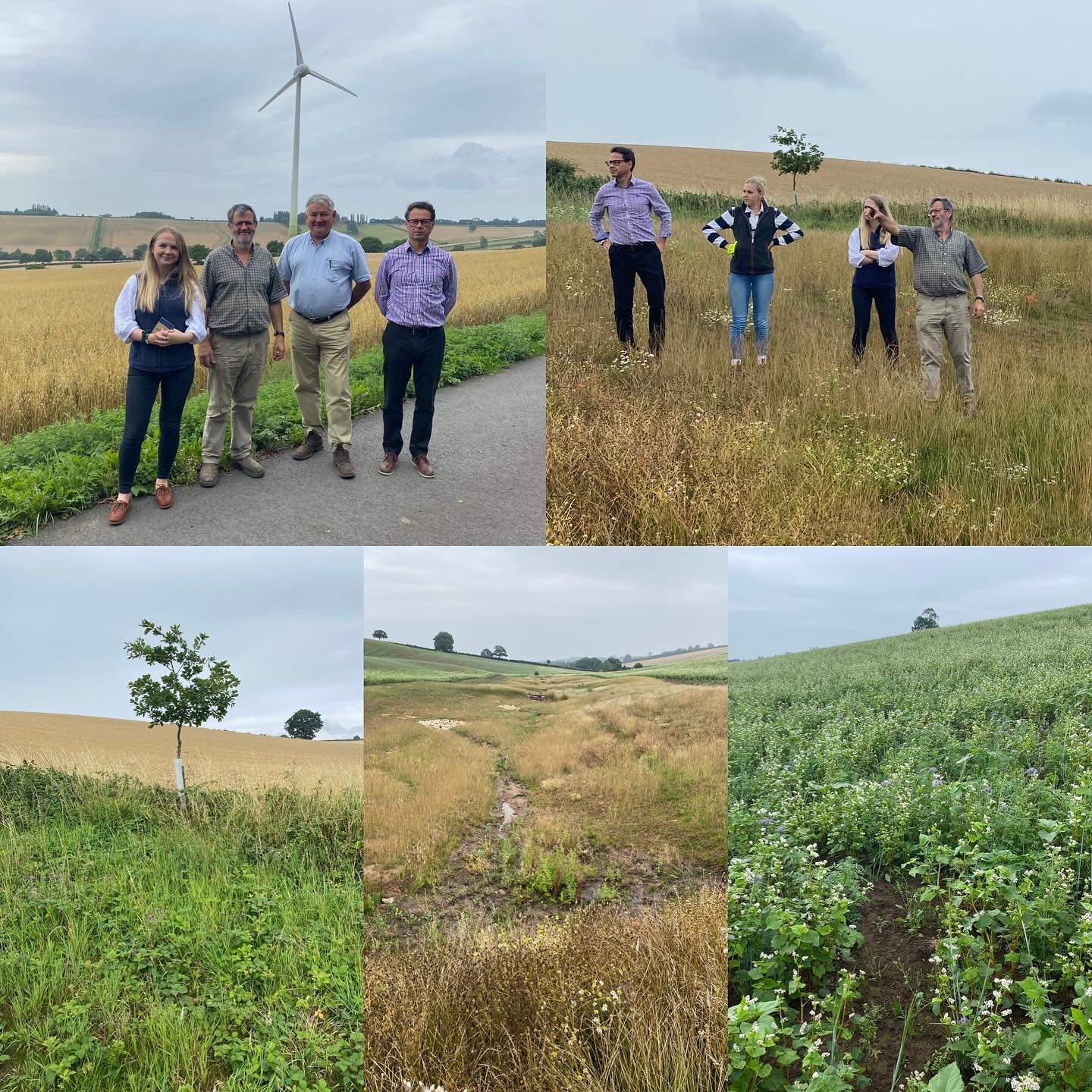 Huge congratulations to @woodboroughpark who have won the Nottinghamshire FWAG Award. It was an honour to be one of the judges and spend a day visiting three of the most impressive farms in the County. It wasn’t an easy discussion to select a winner but the way that John and Cathy Charles-Jones integrated their environmental work into their business and the professional approach that they take to establishing both their crops and their environmental margins, habitats and trees was impressive while their willingness to tackle landscape scale projects to manage flooding, not just on their land but in their community ultimately convinced me that they were the worthy winners. The runners up were close behind them and deserve to be proud of their farms and the way they are managing them too. Thank you to Notts FWAG for inviting me to be part of the judging panel and to the three farmers for allowing us the opportunity to see their work, close up.