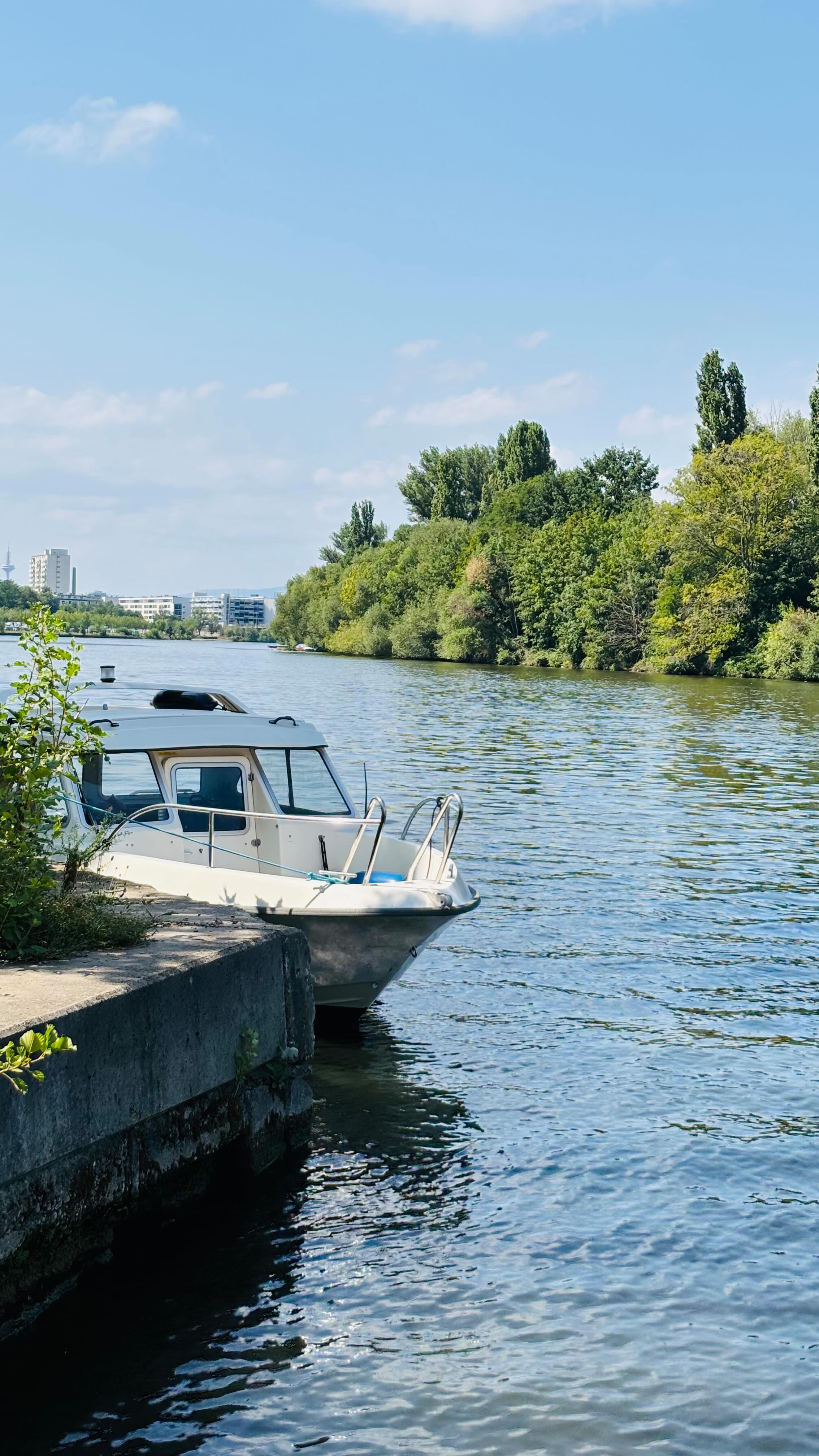 ARE YOU READY? | 🌊⚓️ | Die ersten Fahrstunden stehen an 👀🩵 |
Der Sommerkurs läuft. Während die Theorie schon voll auf Kurs ist, beginnen die Praxisstunden am kommenden Samstag. Die gute Nachricht für Dich - im Herbstkurs sind noch 4 Plätze frei. Also Leinen los & komm an Bord!
📍In Offenbach. Mit Leidenschaft. Und richtig viel Bock aufs Wasser.
👉 Folge für weitere Einblicke, Fortschritte & Kursupdates.
Gude & Ahoi – und bis bald an Bord! ⚓
#fahrboot #bootfahren #boat #bootsführerschein #sbf
#see #binnen #sbfbinnen #sbfsee #sea #ocean
#motorboot #segel #segelboot #blog #skipper
#sportboot #sportbootführerschein #sail #yachting
#skipper #wassersport #boatlife #nautic #captain #bootsfahrschule #offenbach #offenbachammain #offenbachammeer