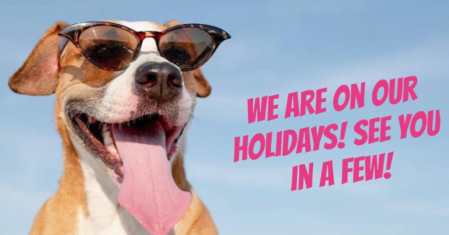 Daycare restarts 29th September, grooms resume 6th October!