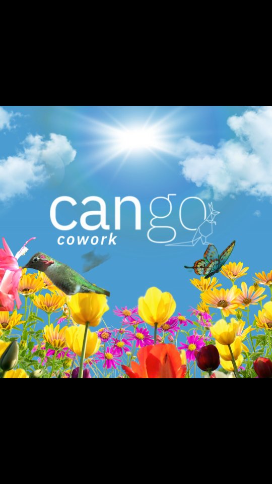 Bienvenida Primavera en Cango Cowork!
#coworking #cowork #oficinas #primavera2025 #primaverasantiago #arriendodeoficinassantiago