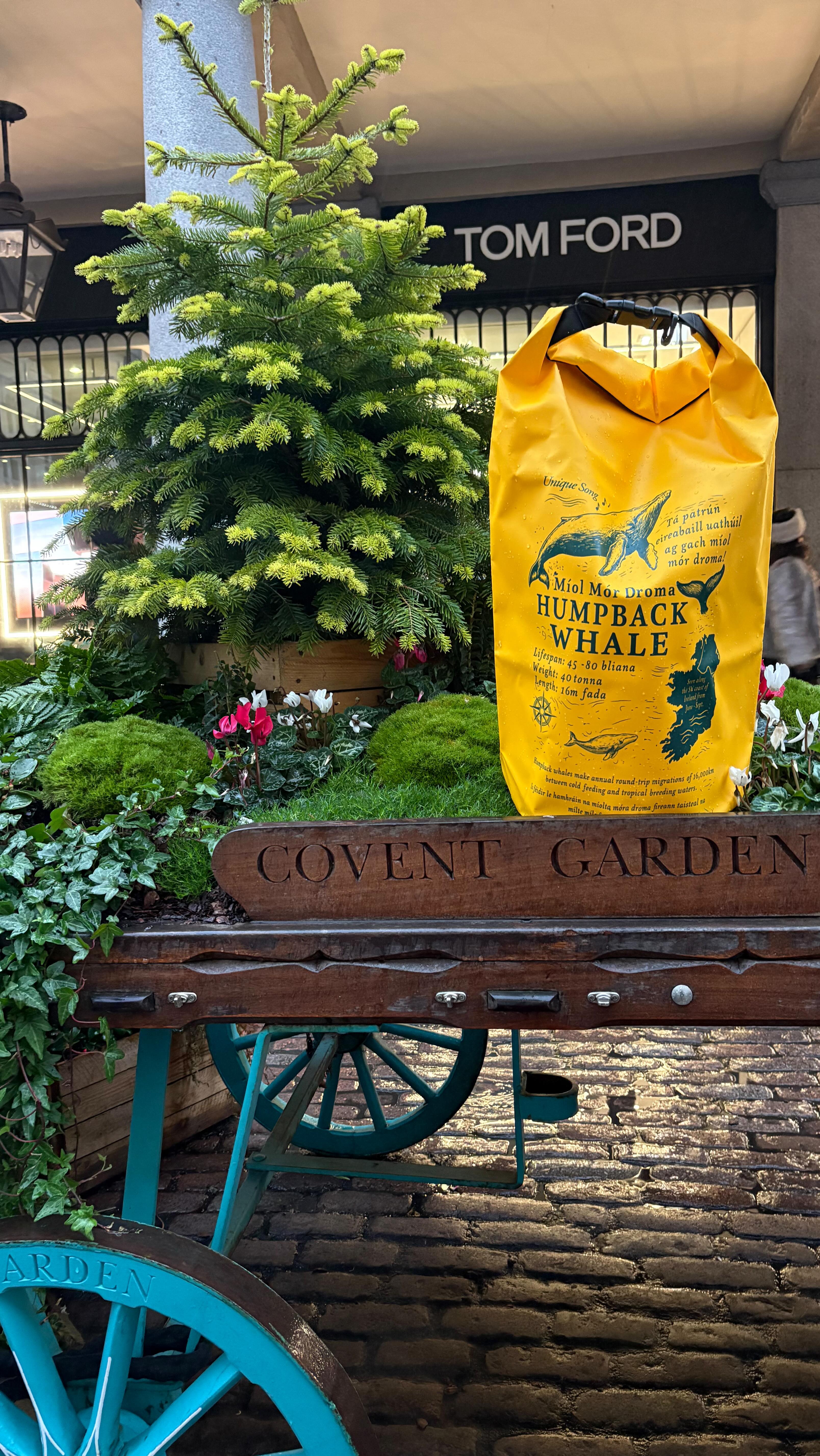 We brought our brand new 20L dry bag on a trip around rainy London…. stay tuned to see the results 🎬☔️