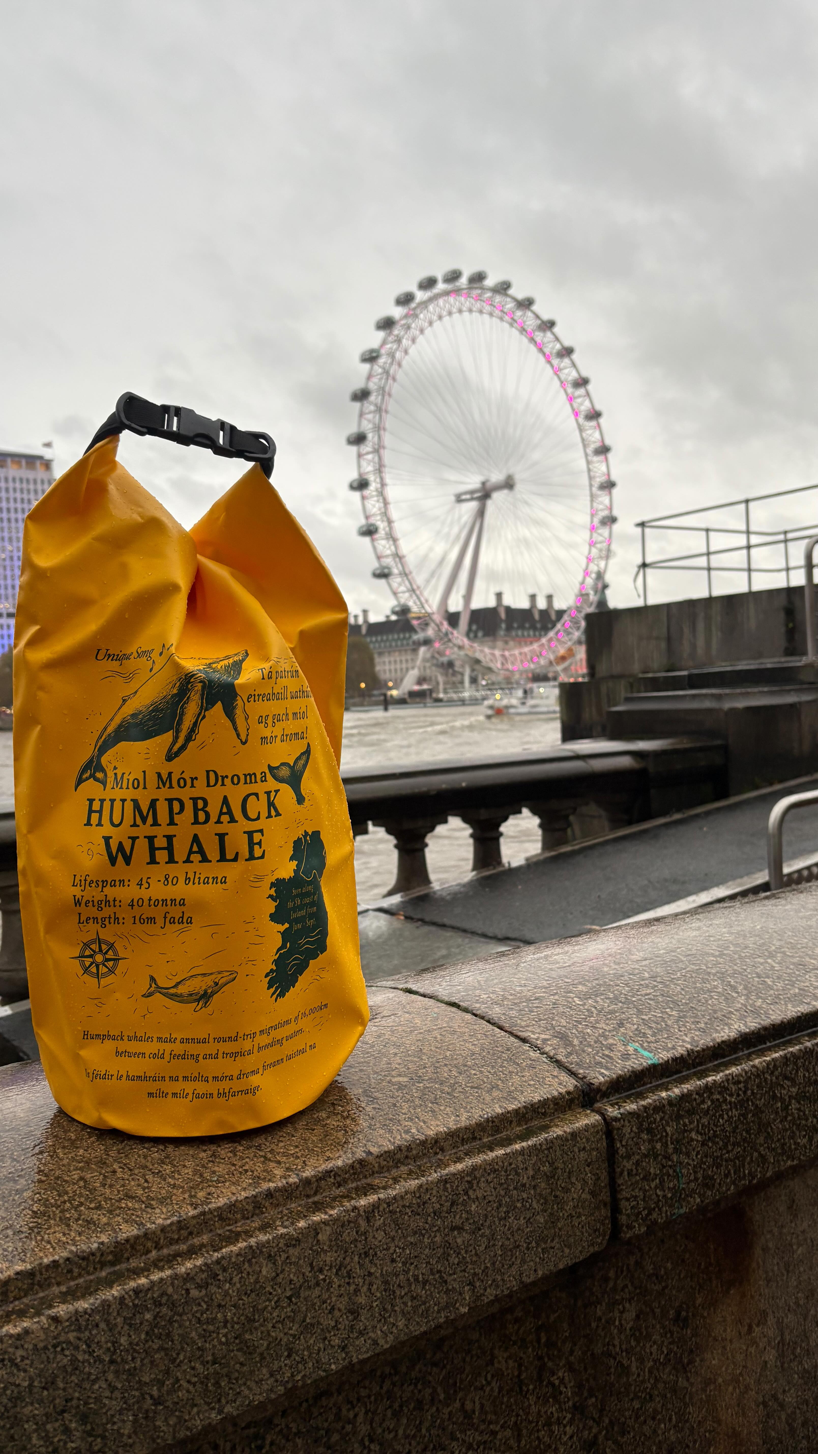 Our Humpback Whale 20L Dry Bag is designed for any weather, anywhere 🐋✨
Get yours now at SaltRobe.ie