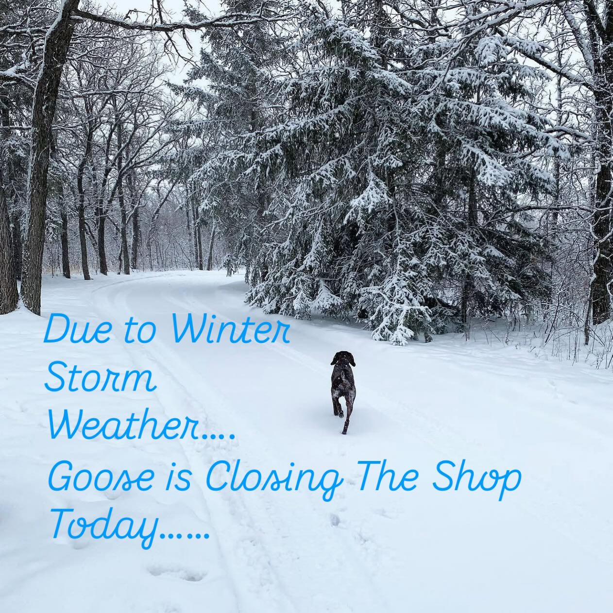 The Shop is CLOSED today due to Winter Storm Weather….
#antiqueshop #antiquehomedecor #papershop #stationaryshop #snowday