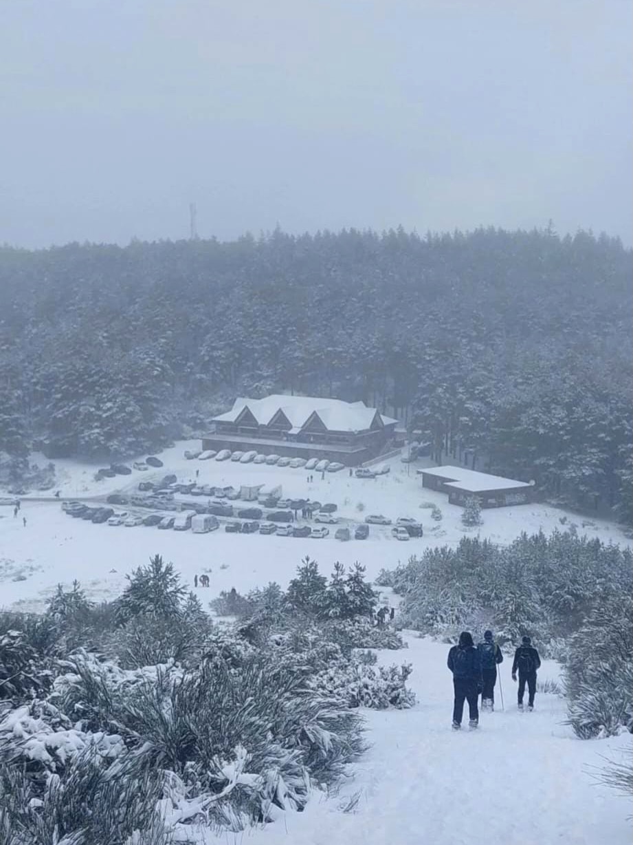 Así de bonito está el albergue Valle del Sol ❄️ Disfruta del invierno con Sprintem.
Más información en www.sprintem.com