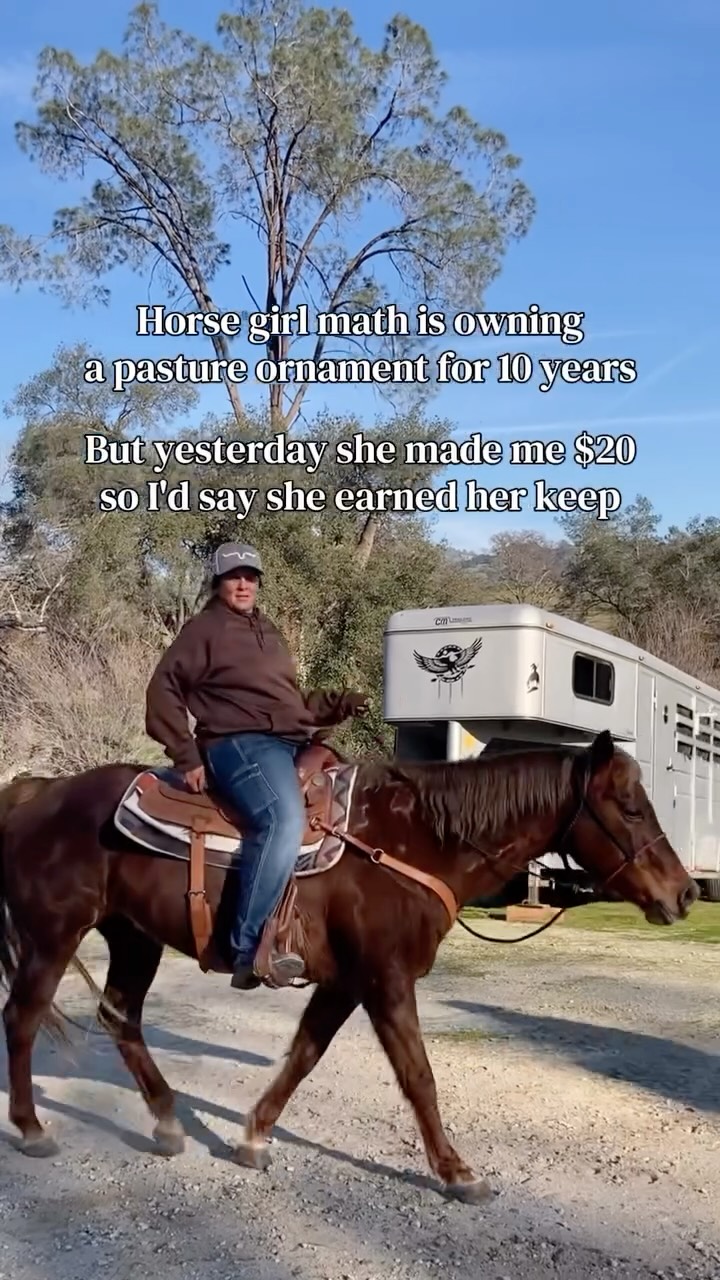 Yup. It all adds up.
#horses #horselife #equestrian #horseriding #horsegirl