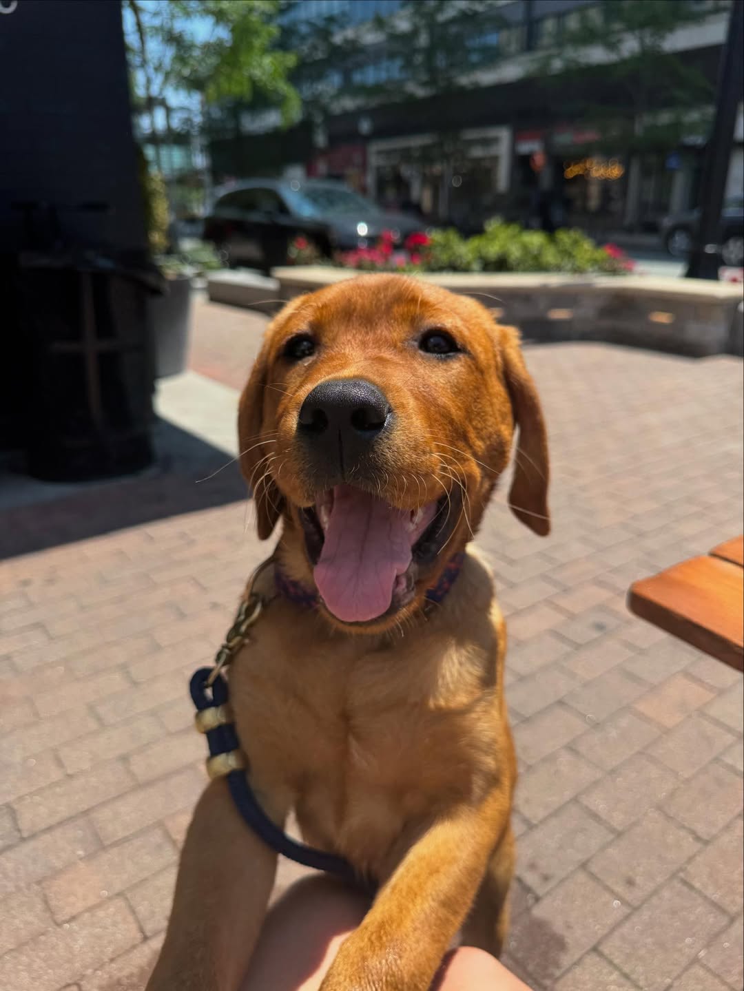 Once an industrial site, our #VeridianVision for J…