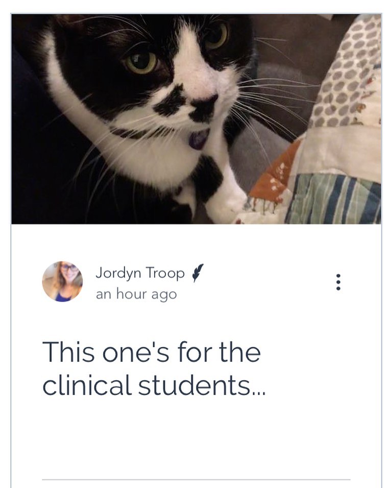 New blog from @jordyjord for our clinical students during this difficult time.
LINK IN BIO
P.S. isn’t her cat the cutest?! 😍
