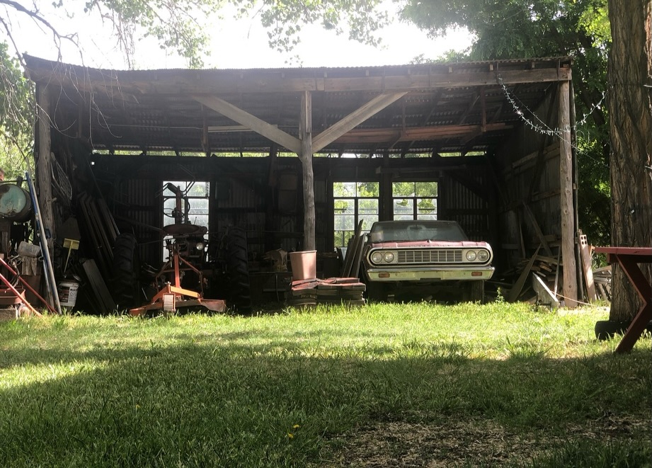 Spring in New Mexico doesn’t arrive with a drumroll. It kind of sneaks in through the side gate… a little warmer light, a breeze that smells faintly like dirt waking up. Then suddenly you realize the world has tilted toward green again.
Here’s a little throwback to March 2018 at Red Horse BnB.
Found these photos today and it hit me how much life has passed through this place since then—artists, travelers, weddings, late-night conversations, dogs running across the field, music floating out of the barn.
Spring has always been a special season out here.
The land wakes up. The cottonwoods start whispering again. The light gets softer in the evenings.
Feeling a bit nostalgic today… and also grateful for every memory this little corner of New Mexico has held.
Spring is creeping back in.❤️
#RedHorseBnB #NewMexicoSpring #ABQLife #NewMexicoTrue #BosqueLife SpringInNewMexico ABQCreatives HighDesertLiving Nostalgia RioGrandeValley